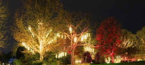 3. Snowdonia & Local Christmas Market