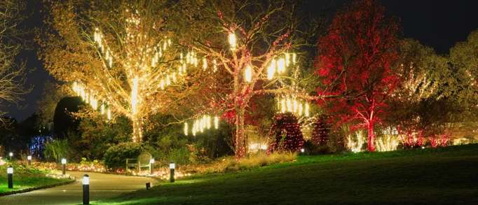 3. Snowdonia & Local Christmas Market