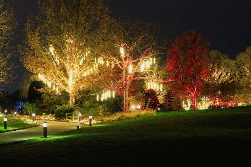 3. Snowdonia & Local Christmas Market