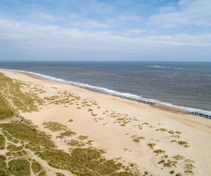 Paths leading from the park to the beach