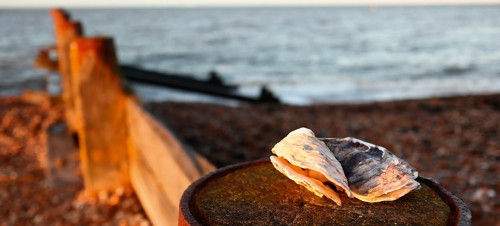 Whitstable Beach, Whitstable