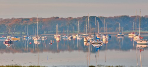 2. Fishbourne and Bosham Circular walk
