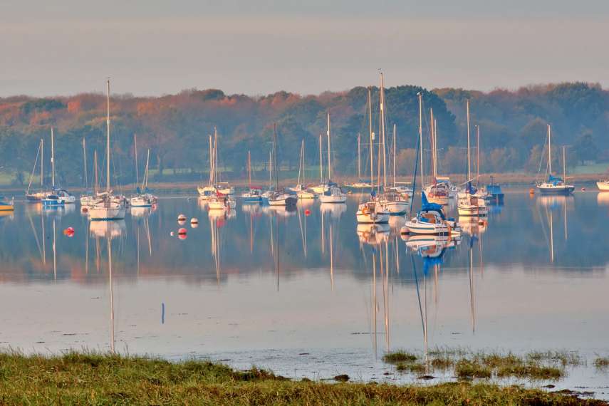 2. Fishbourne and Bosham Circular walk