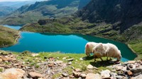 Snowdonia National Park
