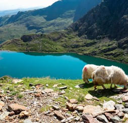 Snowdonia National Park