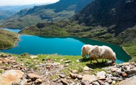 Snowdonia National Park