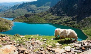 Snowdonia National Park