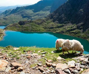 Snowdonia National Park