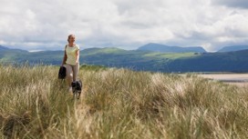 Dog walking amongst the dunes