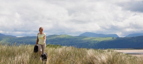 Great walks for dogs 