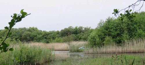 4. Dawlish Warren Nature Reserve