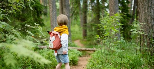 Best places to visit for kids aged 4-11 in Devon 
