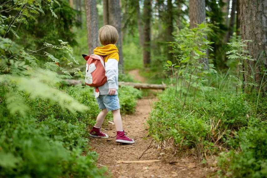 Best places to visit for kids aged 4-11 in Devon 
