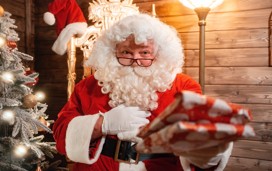 Children meet Santa inside his Grotto on one of Haven's parks.