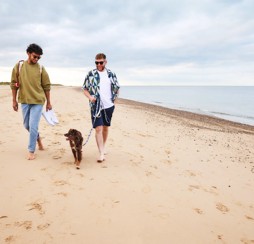 Walks on the sandy beach at Seashore in Norfolk