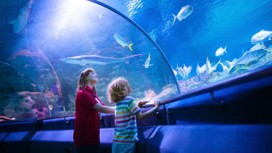 Kids watch tropical fish, marine life in an aquarium