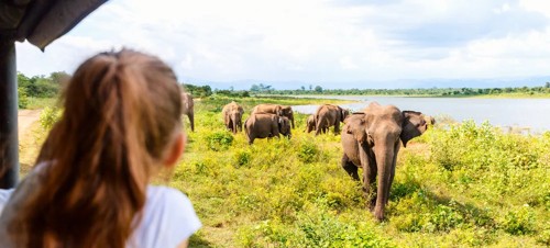 Best places to visit for kids aged 4-11 in Scotland 