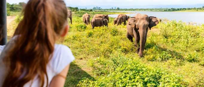 Best places to visit for kids aged 4-11 in Scotland 
