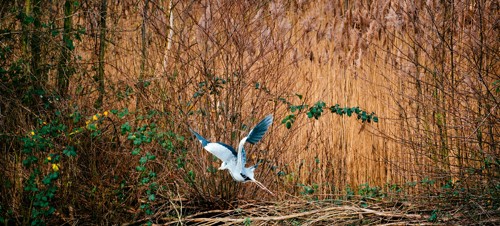 4. Fingringhoe Wick Nature Discovery Park, near Colchester