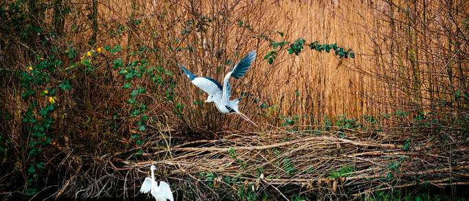 4. Fingringhoe Wick Nature Discovery Park, near Colchester